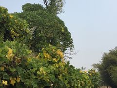 -竹泉村旅游度假区