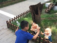 -上海鲜花港