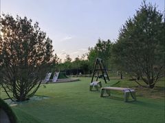 -爪吧宠物乐园·宠物泳池(温榆河示范区店)