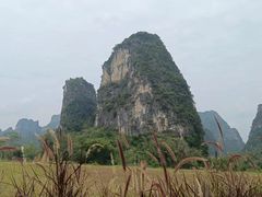 -明仕田园