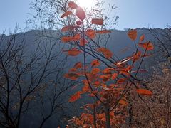 -香山公园