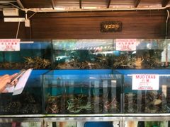 -真浪花园海鲜餐馆