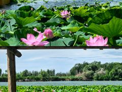 -杜氏旅游度假区