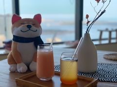 -柴犬小屋·柴餐厅·狗咖食堂(金鼎广场店)