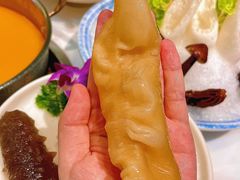 -喜聚薈·花膠雞海鮮火鍋(越秀店)