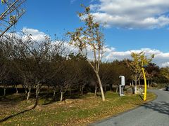 -昆山城市生态森林公园
