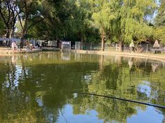 -酷鱼垂钓CLUB(朝阳区博大路店 )