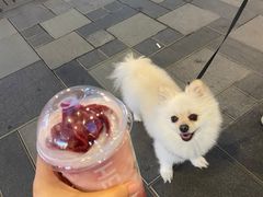 -喜茶(北京三里屯太古里店)