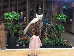 -巴黎春天(浦建店)