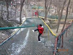 -原山国家森林公园