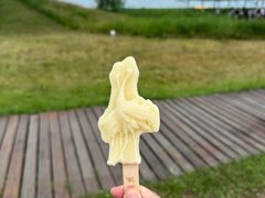 -黑龙江扎龙生态旅游区
