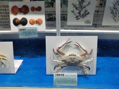 -青岛海底世界-水族馆