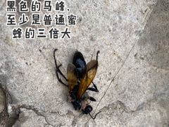 -北京山里寒舍度假酒店