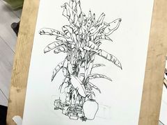 -莲花国际广场