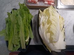 大白菜-新辣道鱼火锅(领展购物广场·中关村店)