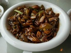 -陶然饺子城(奥体中路店)