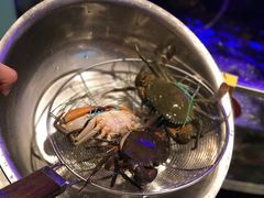 98螃蟹-七欣天香辣蟹火锅(南京建宁路大观天地店)