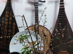 -道南書院·私房菜·早午茶·茶馆