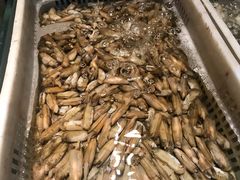 -老街坊美食汇(玉兰大街店)