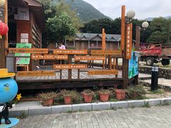 -杨梅坑