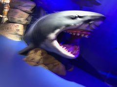 -波塞冬旅游度假区