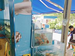 -小海豚•老字号海鲜餐厅(天涯店)