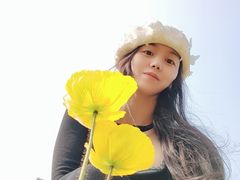 -秀丽东方