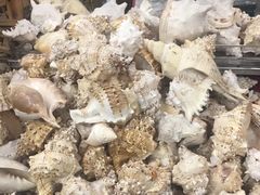 -一夜埕海产品特色街
