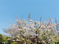 -兰溪青年公园