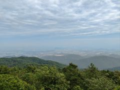 -东莞市大岭山森林公园
