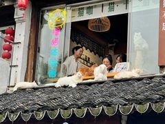 -探花·意境江南菜·唐伯虎文化体验店·松鼠桂鱼(观前店)