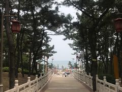 -林海公园