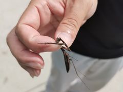 -湖洞水自然风景区