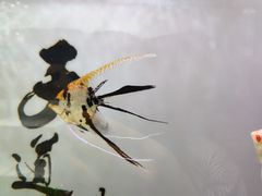 -龟与熊猫宠物公园(南坪店)