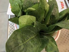-肖婷姐大铁锅重庆火锅(南湖店)