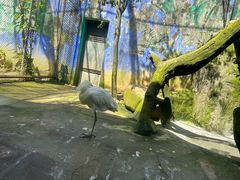 -杭州野生动物世界