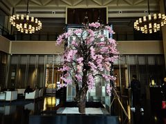 -成都安仁福朋喜来登酒店