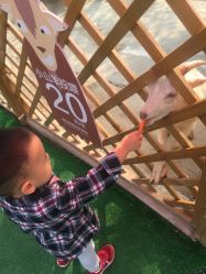 -萌宠亲子动物乐园(槐房万达店)