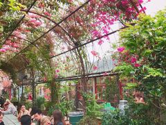 -The Grounds of Alexandria