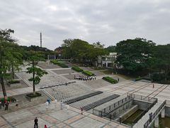 -东莞植物园