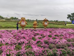-嘉北郊野公园