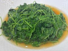 -绿雅酒家(江西中路店)