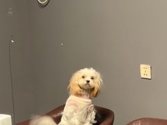 -6号玩家桌游吧(汉街店)