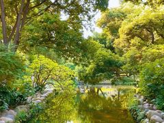 -成都市活水公园