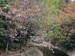 -苏州太湖国家湿地公园