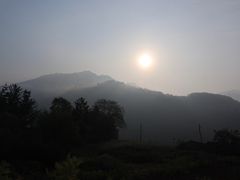-后柳水乡