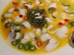 -青花椒花椒鱼(合生汇店)