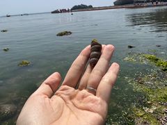 -大连金石滩滨海国家地质公园