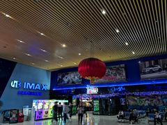 -农垦博纳国际影城(津奥广场IMAX店)