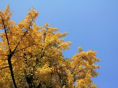 -两江幸福广场